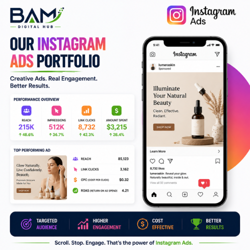 BAM Digital Hub Instagram Ads portfolio dashboard